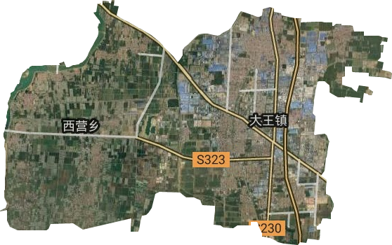 广饶县大王镇