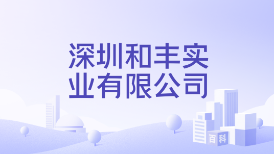深圳和丰实业有限公司_百度百科