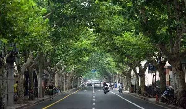 芜湖路