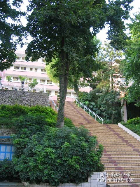 南平市高级中学