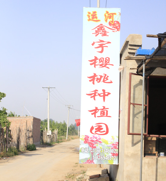  p>运河鑫宇樱桃采摘园位于 a target="_blank" href="/item/北京市