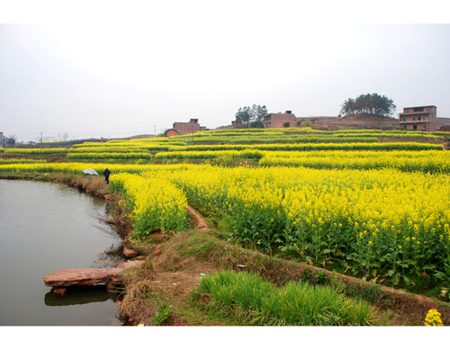  p>安仁县位于湖南省东南部,郴州最北端,东界茶陵县,炎陵县,南邻资兴