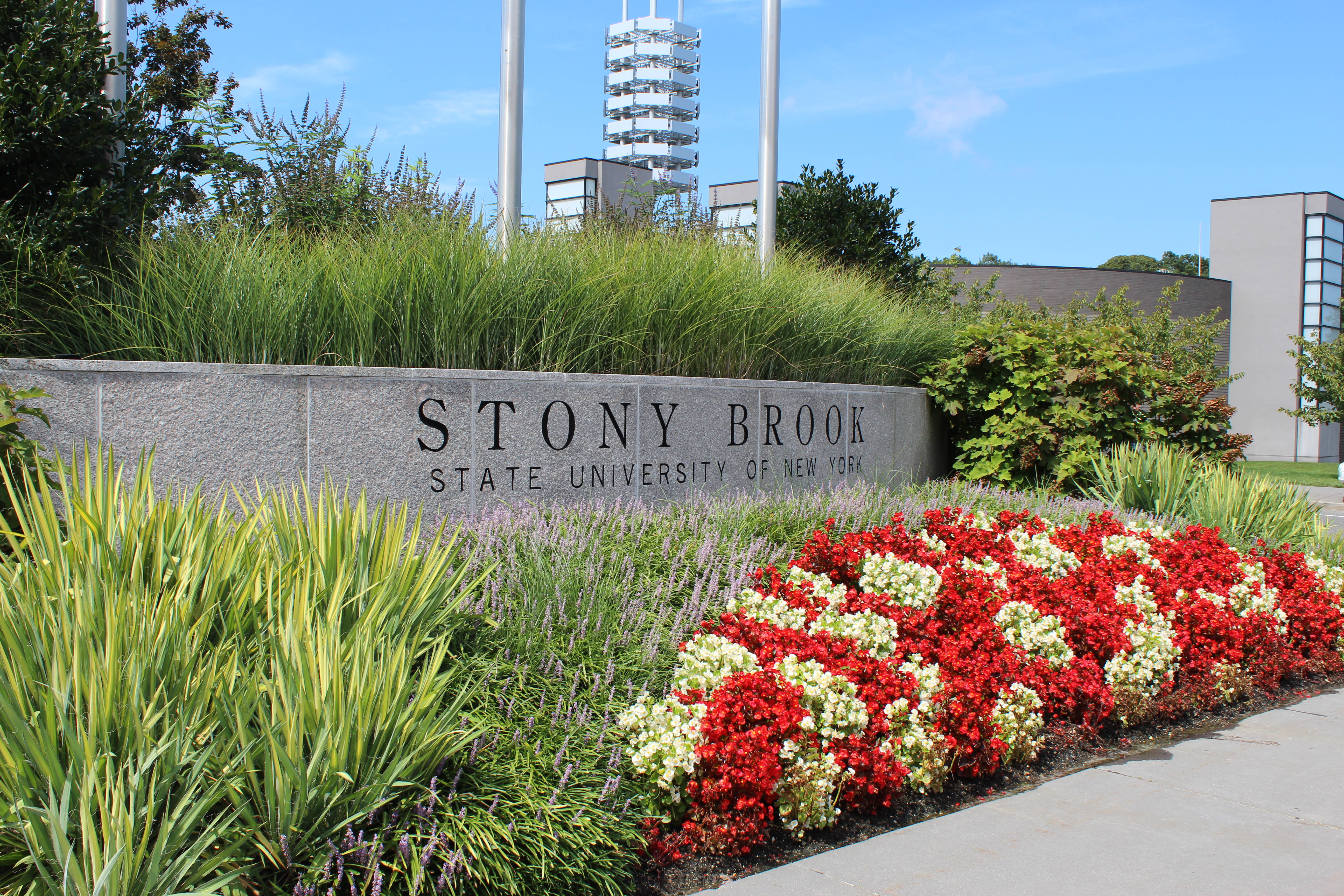 state university of new york at stony brook
