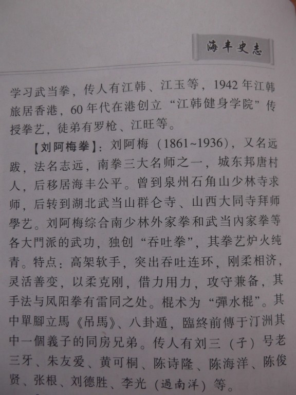  p>刘亚梅,原名为刘远跋,生于清咸丰年间,卒于抗日战争前夕.