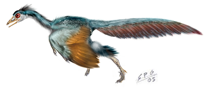 始祖鸟(archaeopteryx)