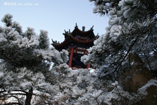 槎山国家森林公园