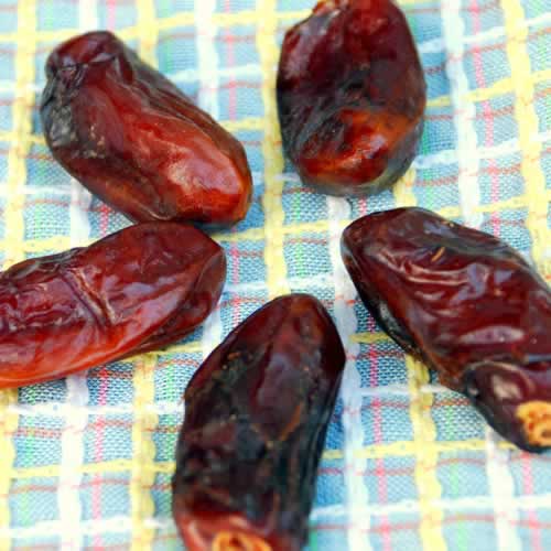  p>伊拉克蜜枣,棕榈科 a target="_blank" href="/item/刺葵属">刺葵