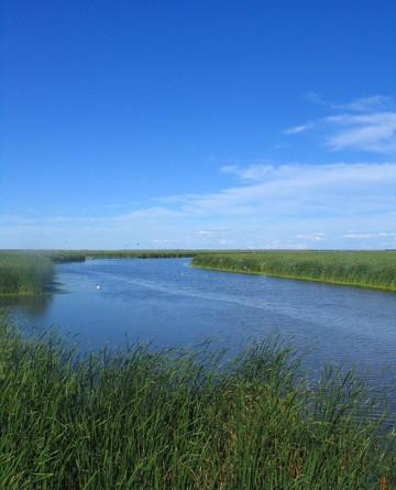 大庆龙凤湿地自然保护区