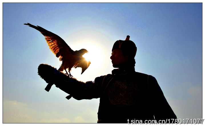 伊尔根觉罗·佐鹰