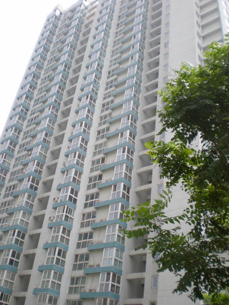 北苑家园莲葩园