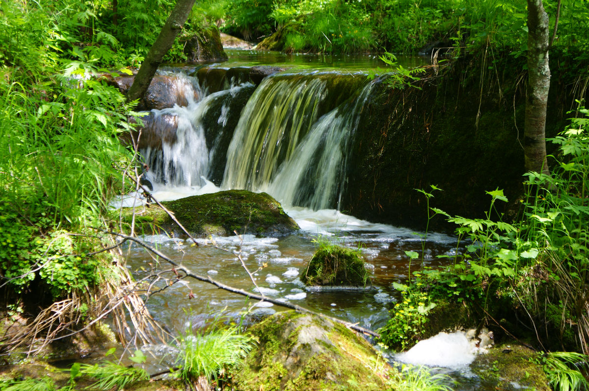  p>五营国家森林公园位于 a target="_blank" href="/item/黑龙江省">