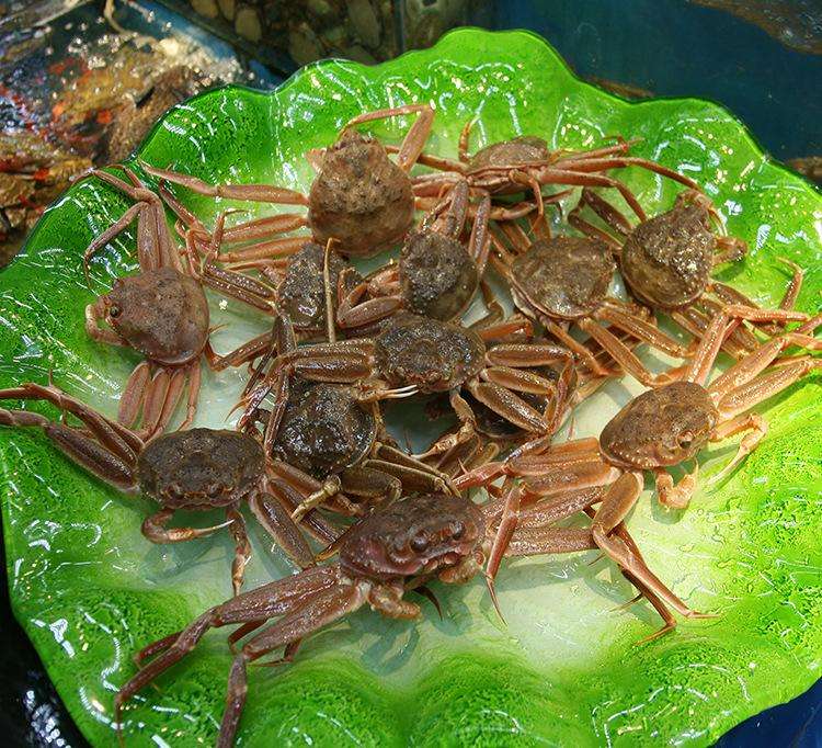  p>籽蟹是产于日本海域,俄罗斯海参崴海域,朝鲜海湾