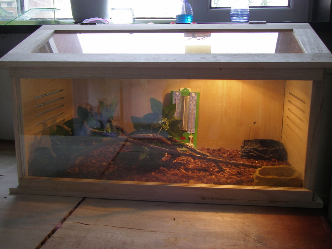  p>爬虫箱(也称爬虫饲养箱),使用爬虫箱的目的是为了给爬虫们创造出