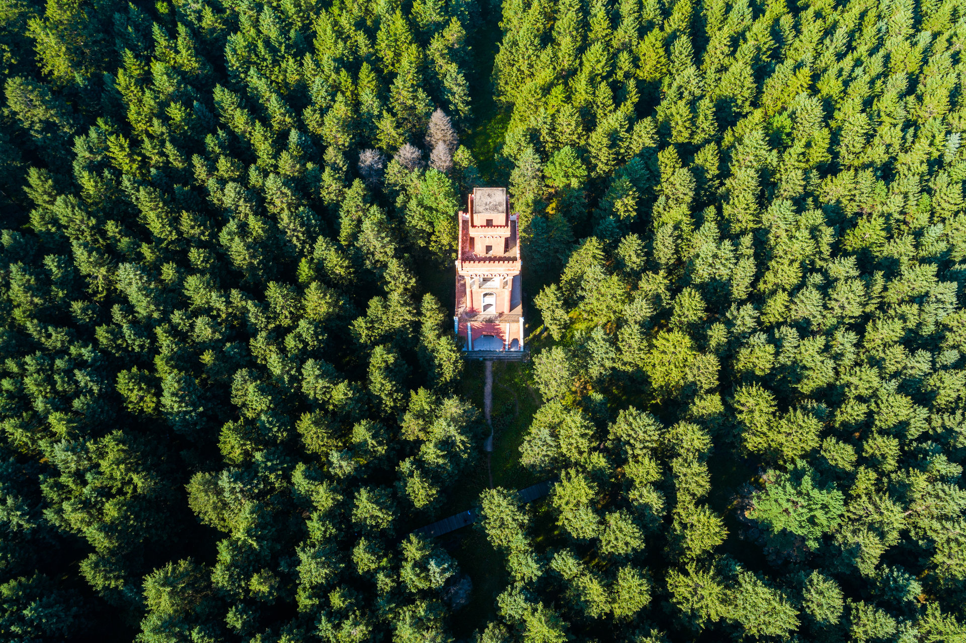 嫩江高峰森林公园