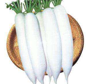  p>白玉夏萝卜是一种从 a target="_blank" href="/item/韩国/6009333