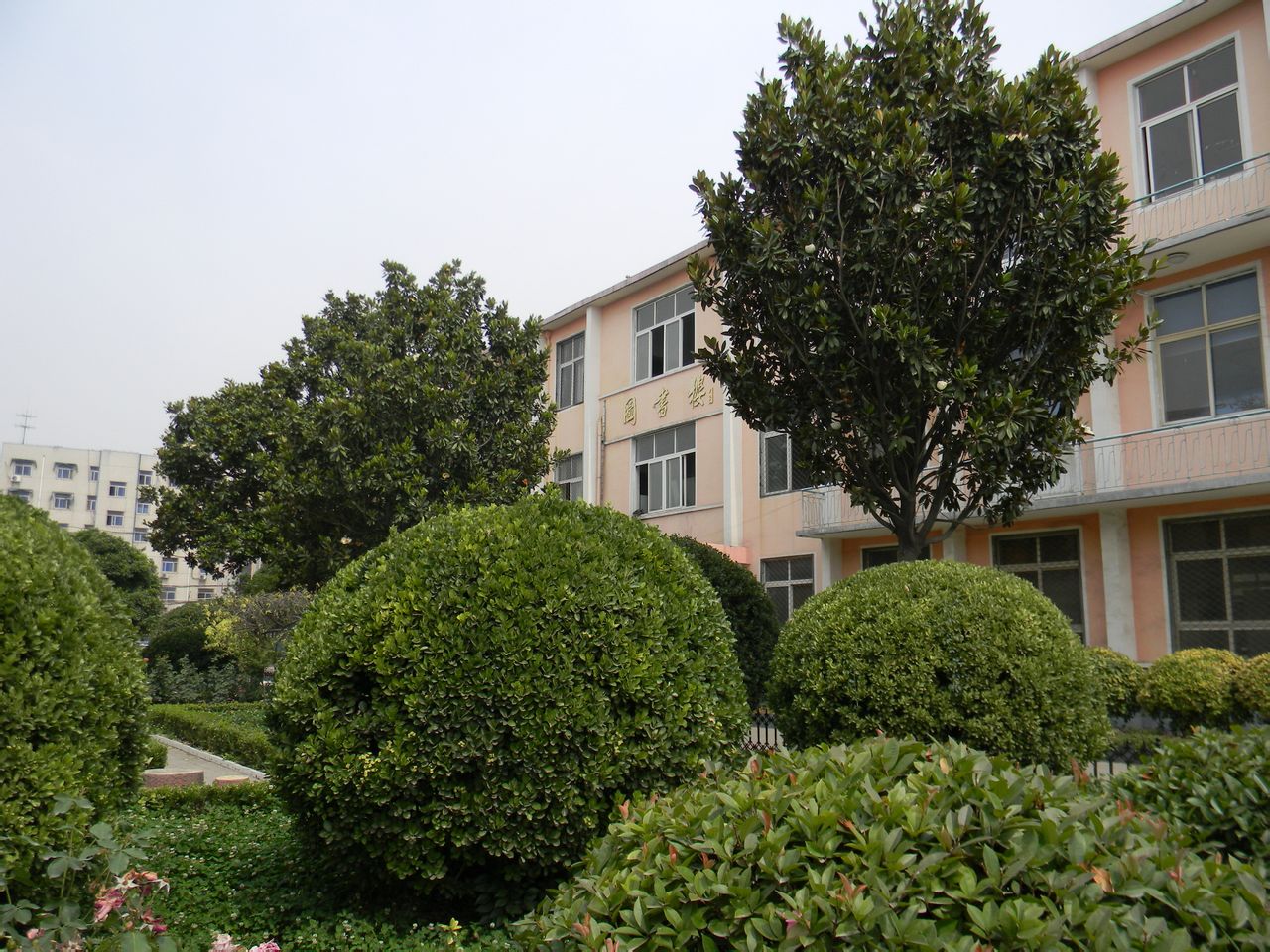 禹州市第一高级中学