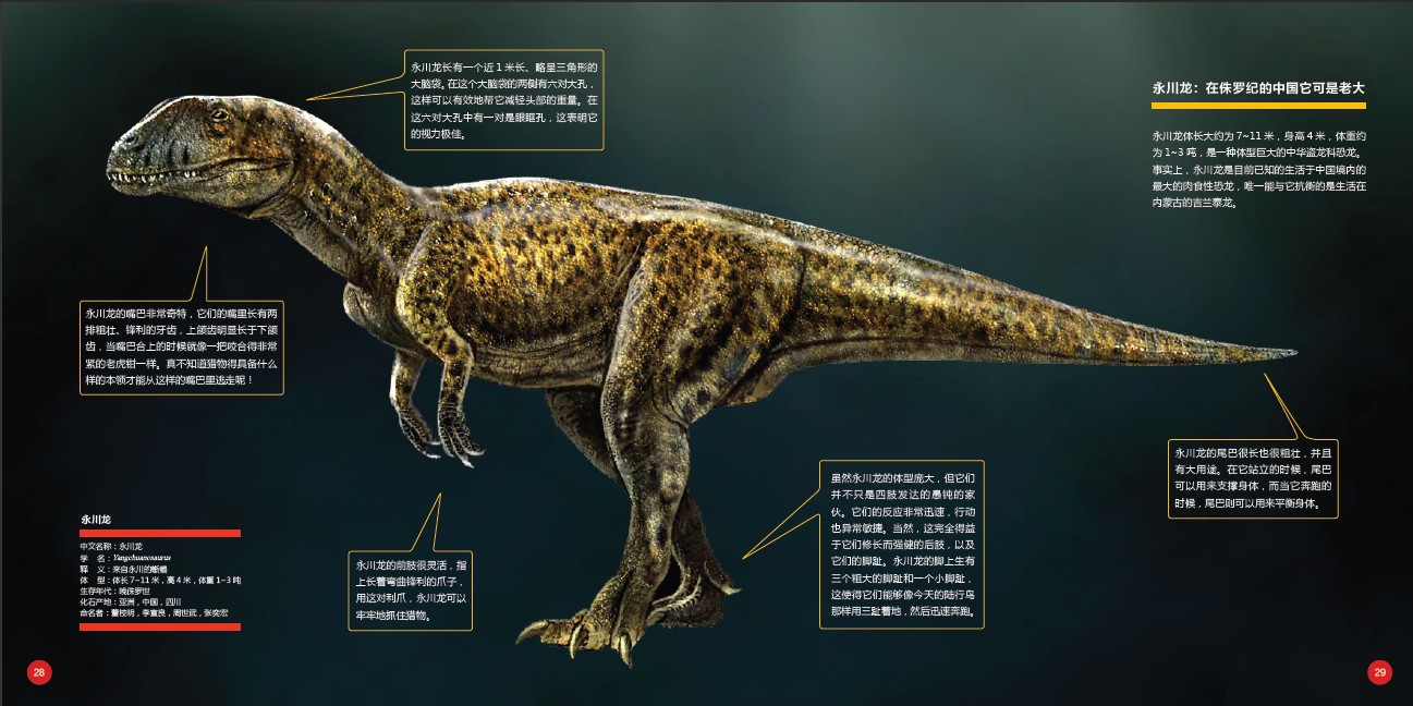 永川龙(yangchuanosaurus)