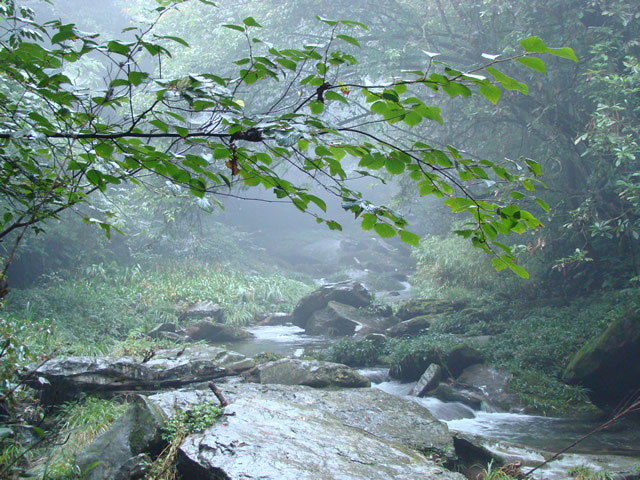 沐川