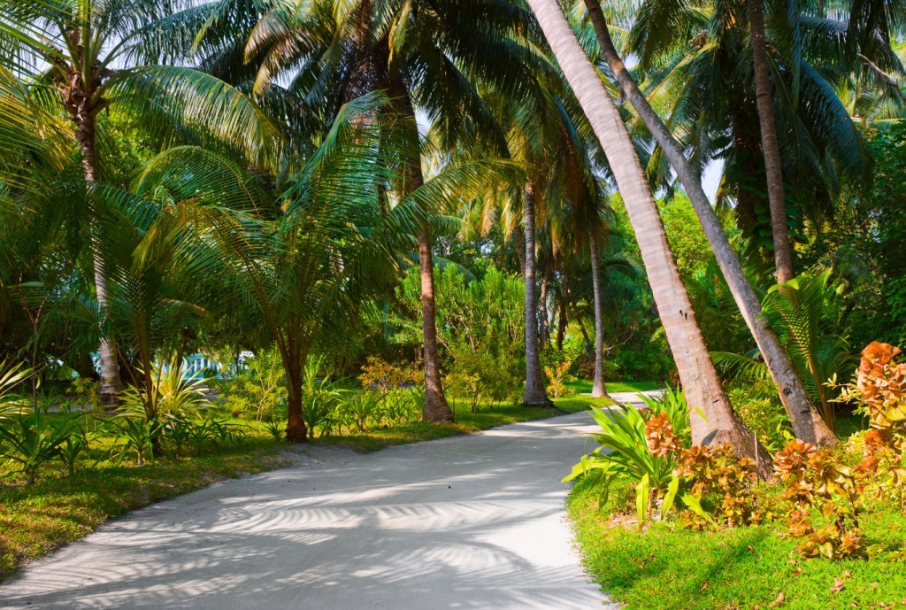  p>苏丹公园位于马尔代夫. /p>