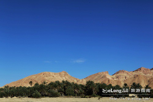 突尼斯中西部绿洲,有许多盐质洼地和棕榈林,是古代重要的努米底亚城镇