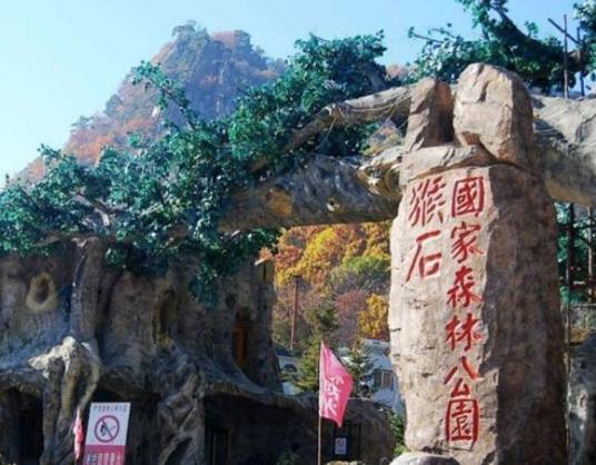 辽宁猴石国家森林公园_百度百科