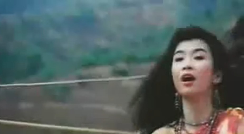 横冲直撞火凤凰waangchungjikjongfohfungwong(1990)