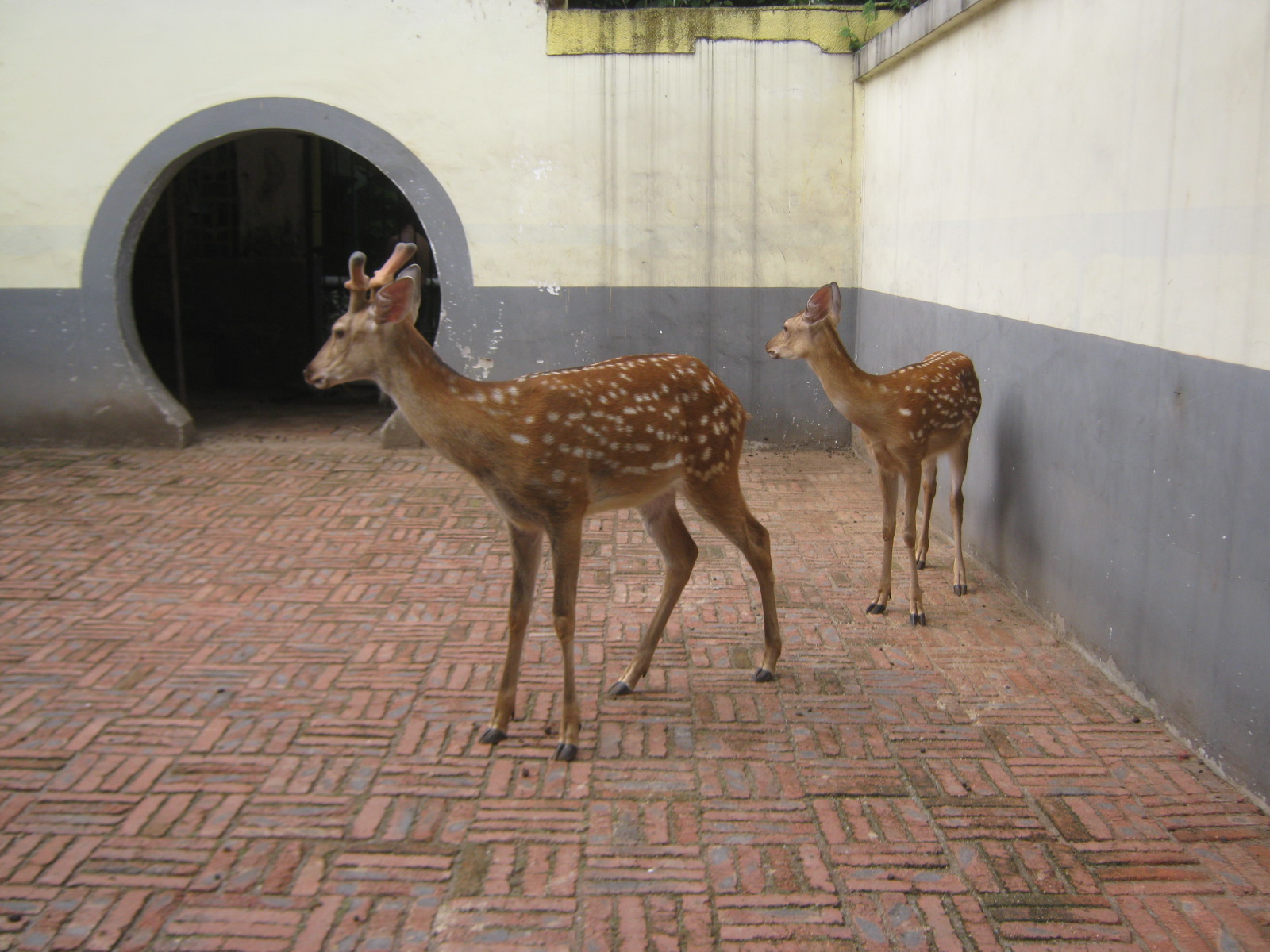  p>衡阳动物园坐落于中南重镇 a href="#" data-lemmaid="235811">