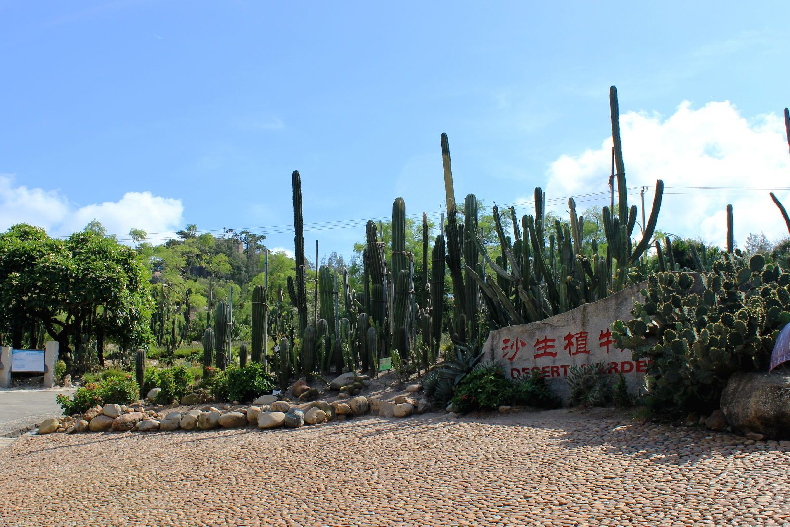  p data-id="gnwhggycmx">厦门园林植物园,俗称"万石植物园",位于福建