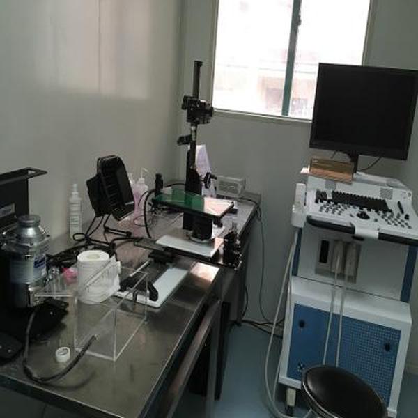  p>小动物超声成像是一种用于基础医学领域的医学科研仪器,于2019年6