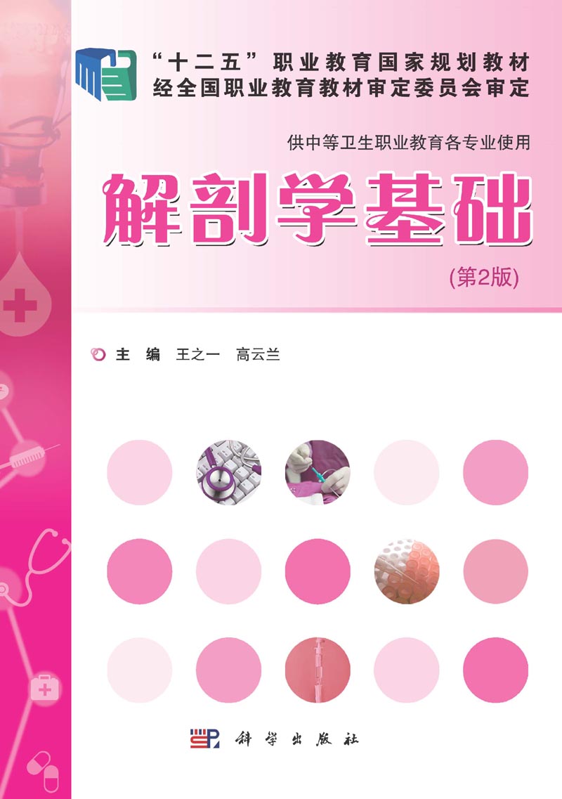 解剖学基础 | 2版