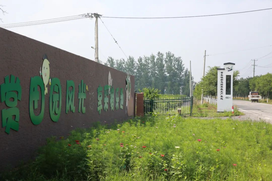  p>黄集镇,隶属于湖北省襄阳市襄州区,东与 a target="_blank" href="