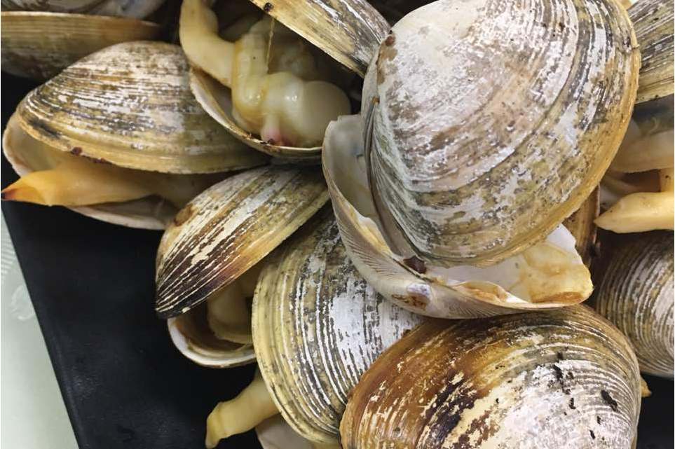 喜记小丹东烤蚬子