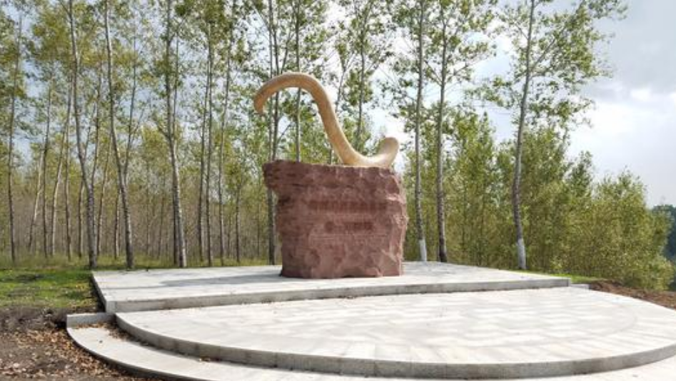 target="_blank" href="/item/青冈县/7170253" data-lemmaid="