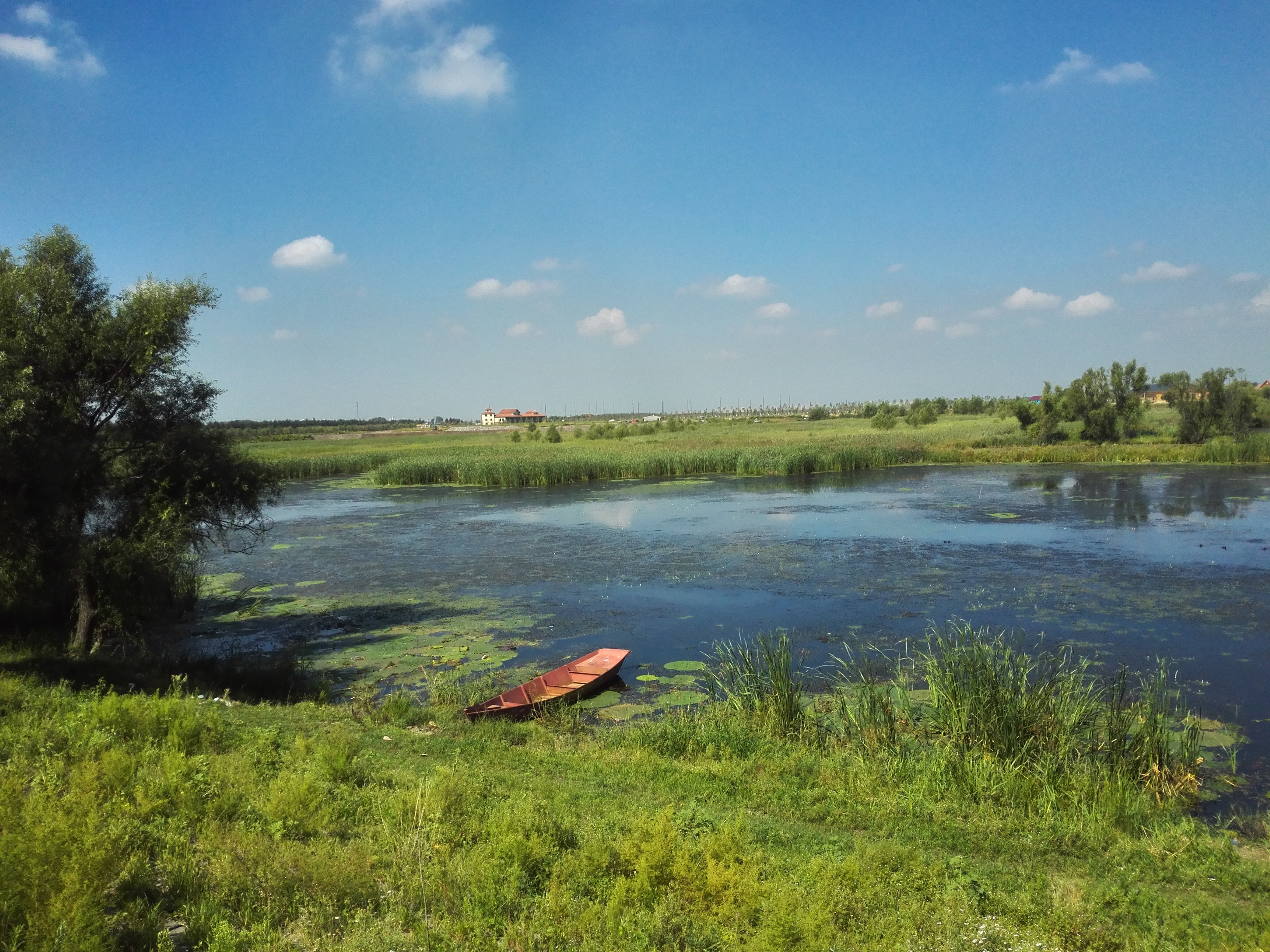 位于黑龙江省南部哈尔滨市西郊,北依长岭岗,西濒松花江.距市区5公里.