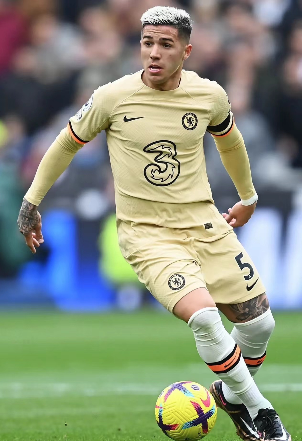 恩佐·费尔南德斯