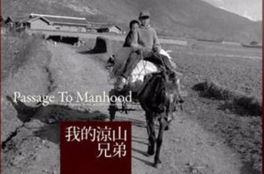 我的凉山兄弟》是2013年1月21日由群学出版社出版的图书,作者是刘绍华