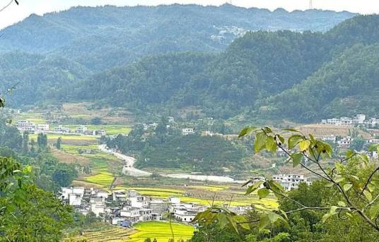 兴农村（贵州省黔西南贞丰县行政村）_百度百科
