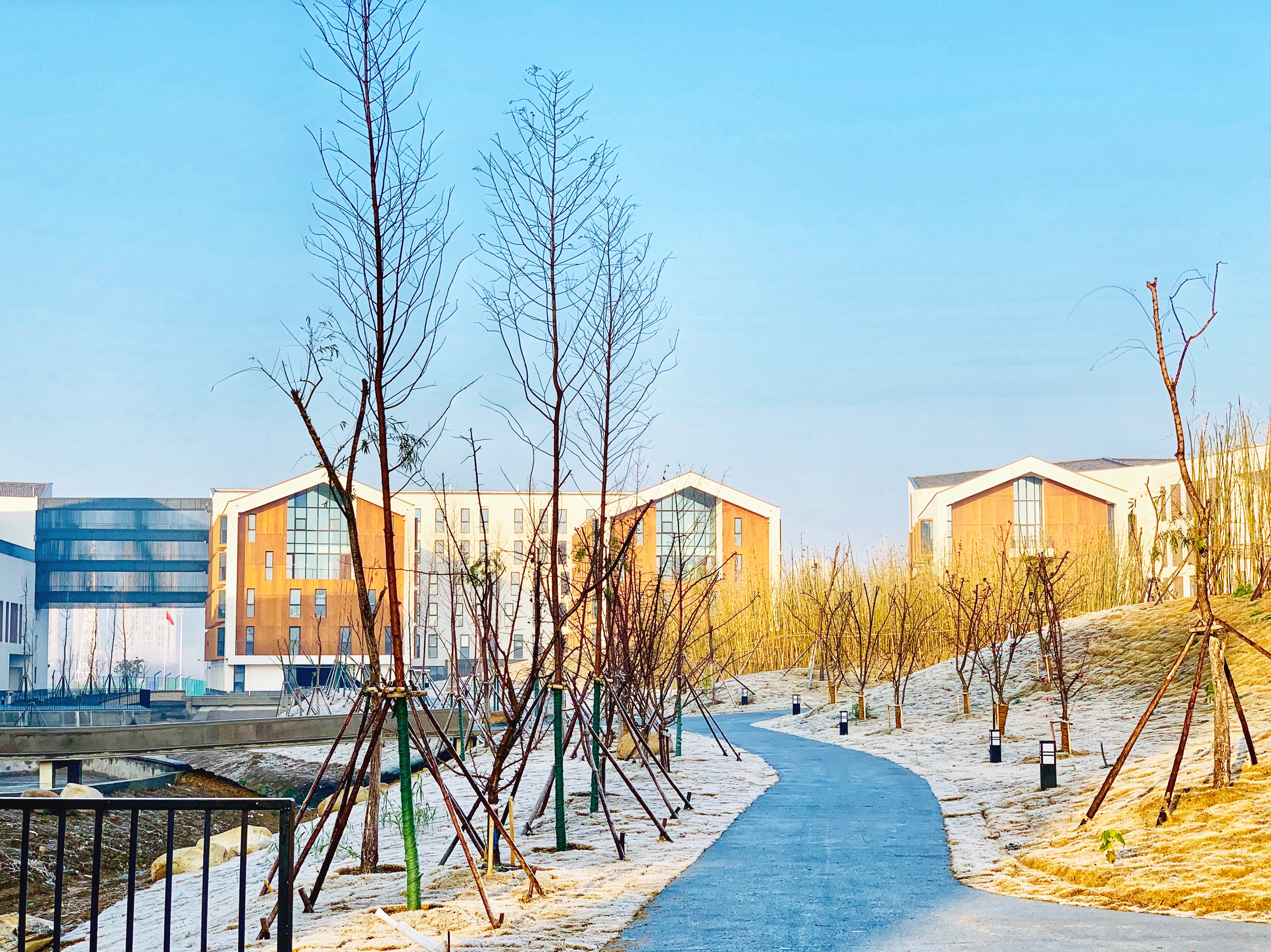 ջ÷ϷְҵѧԺ_ջ÷ϷְҵѧԺ_ջ÷ϷְҵѧԺ