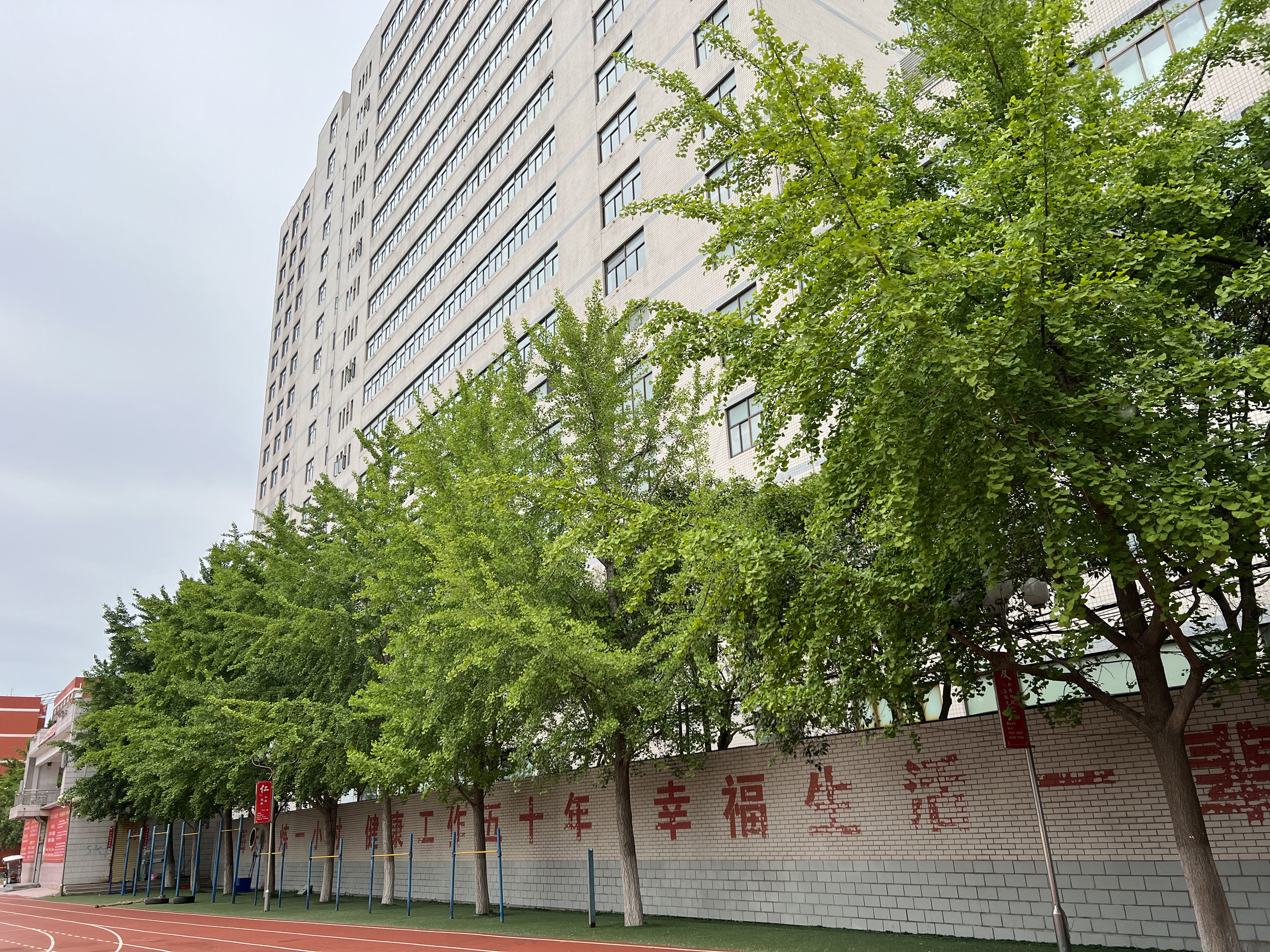 安徽省太和县第一中学