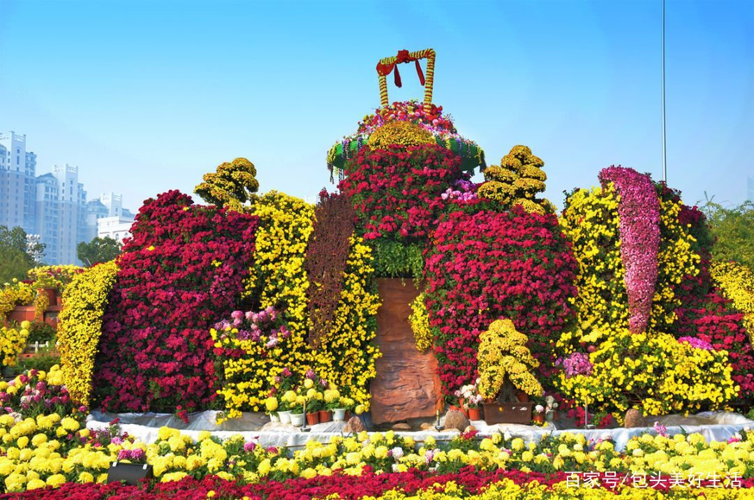 浪漫包头 花舞人间超大型金秋菊花展旅游节 万花成海 百科ta说