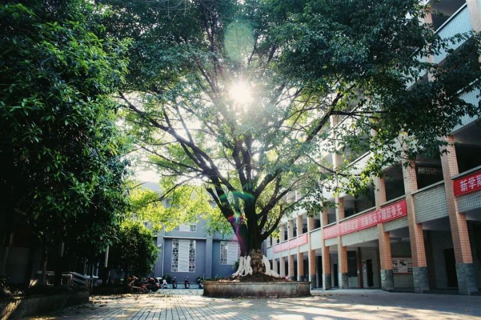 宜宾市南溪区南溪一中外国语实验学校