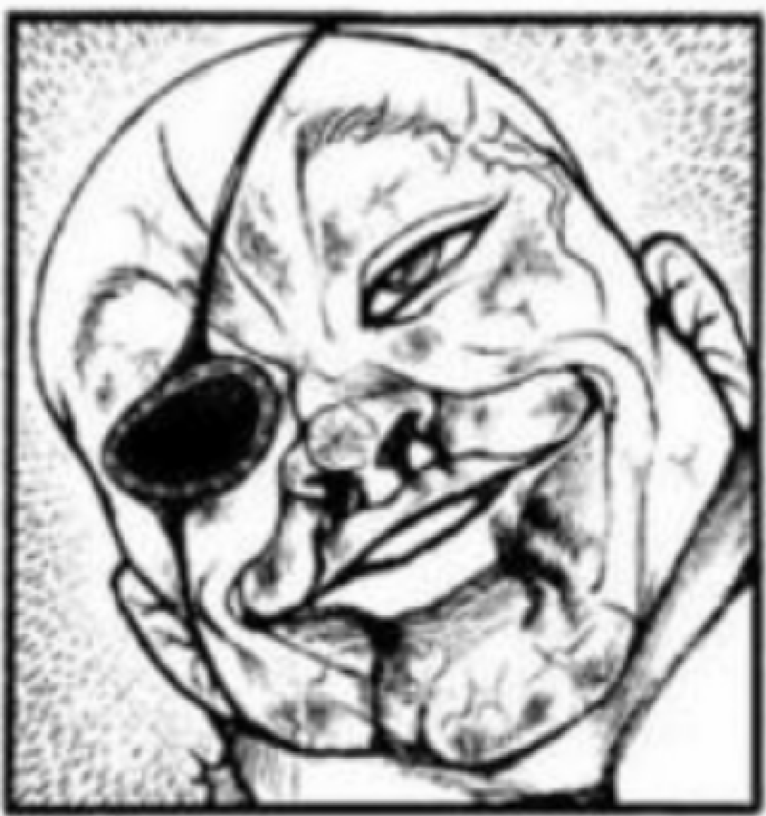 愚地独步