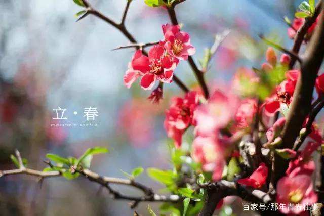 放下烦恼，今日我们只谈，立春_百科TA说