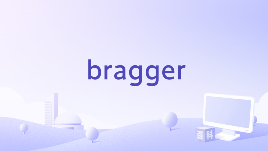 bragger_百度百科
