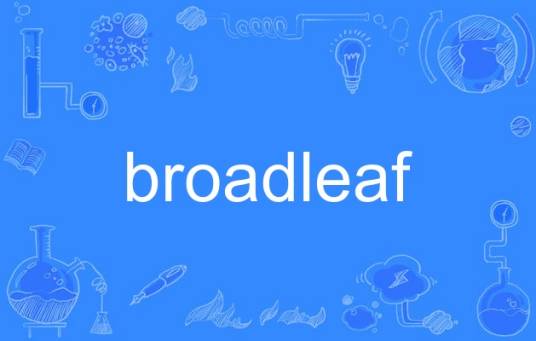 broadleaf_百度百科
