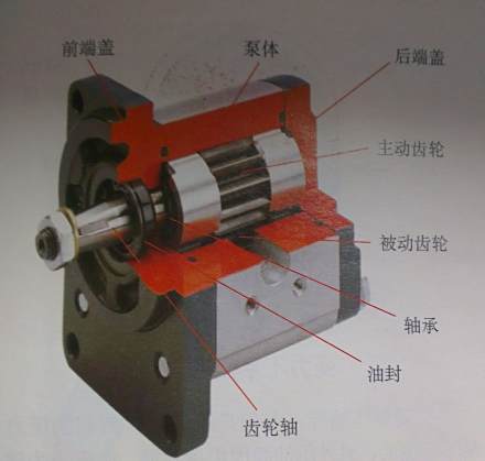 图1 齿轮泵结构