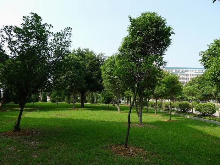 肇庆高新区大旺中学