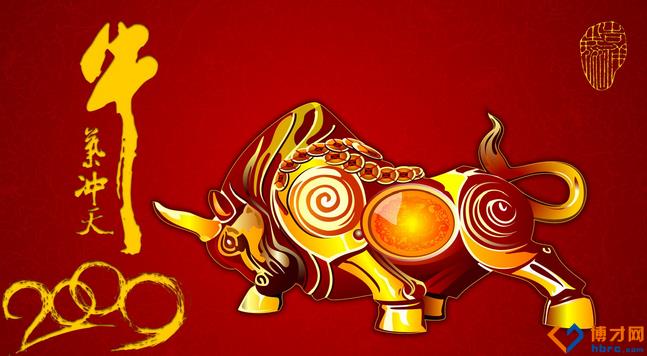 牛年