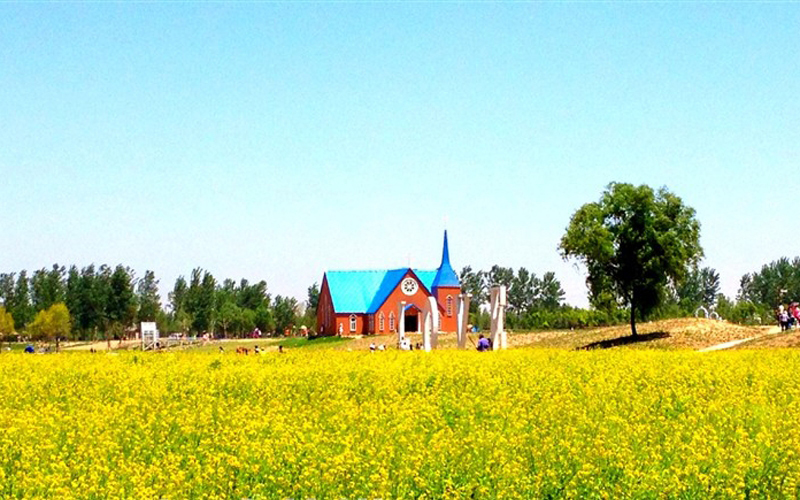 郑州薰衣草庄园