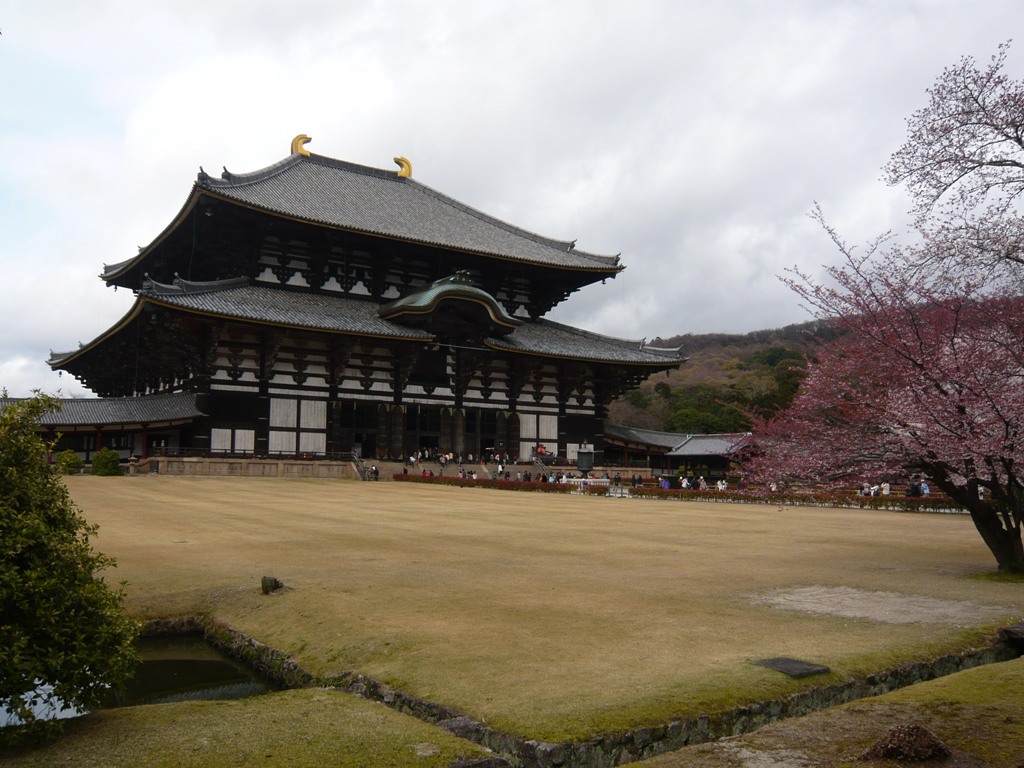 日本战国时期 a target="_blank" href="/item/大和国/5385270" data